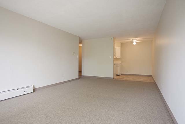 Holly Tree Apartments - Photo 21