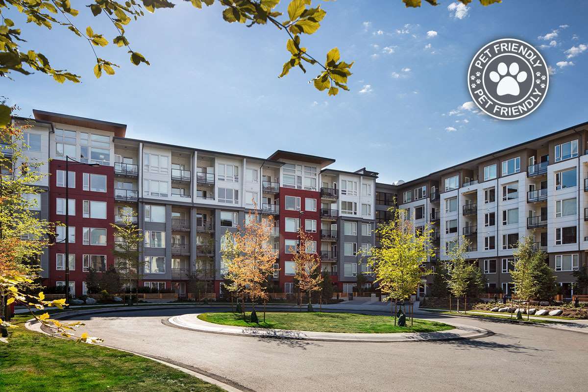 Fraser Flats Apartments - Photo 48