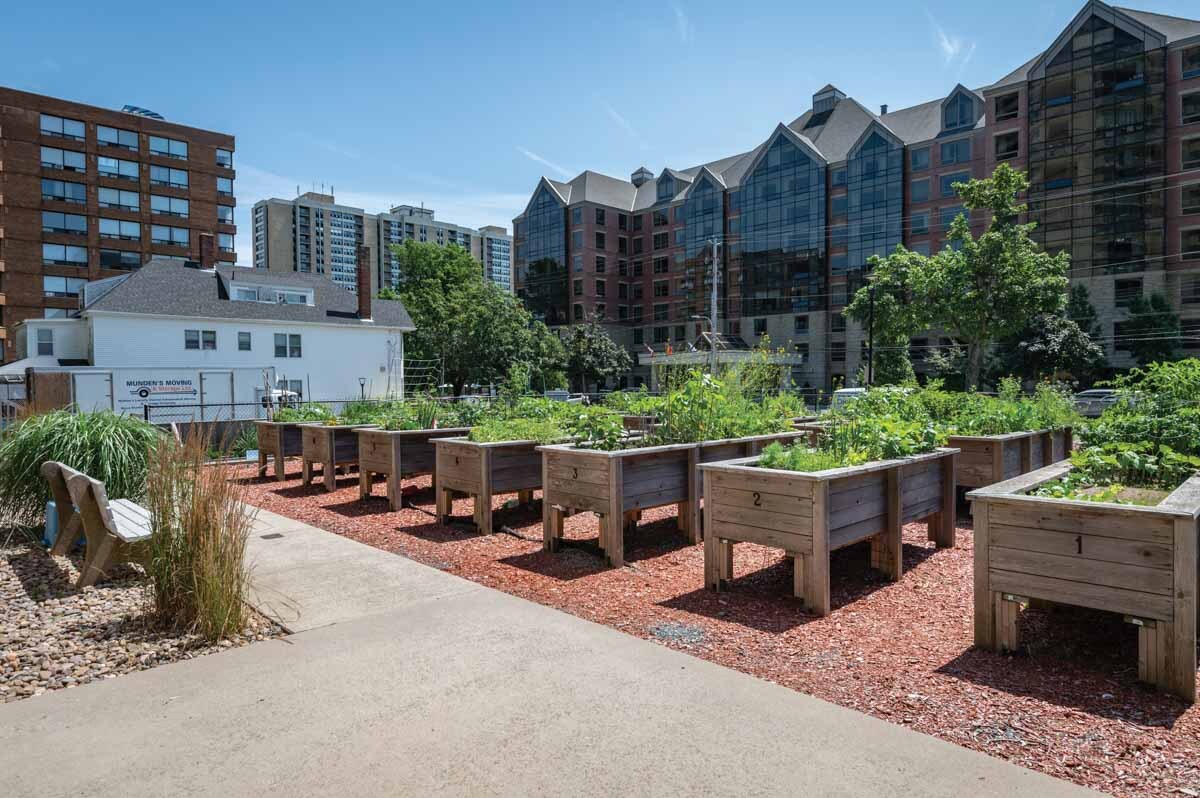Spring Garden - Photo 54