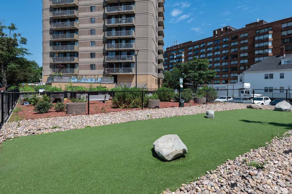 Spring Garden - Photo 57
