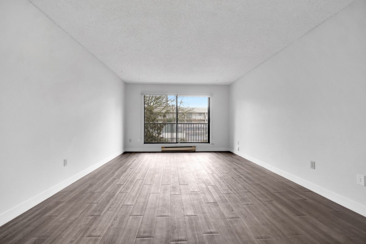 Dolphin Square Apartments - Photo 15