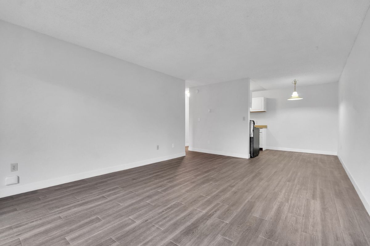 Dolphin Square Apartments - Photo 48