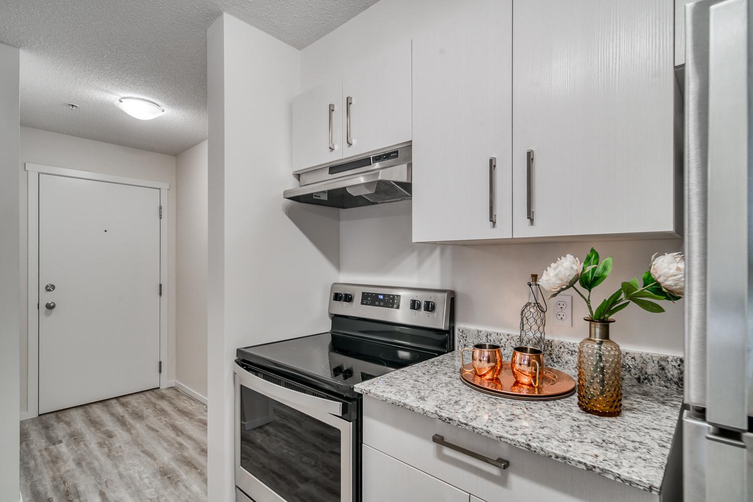 Skyview Place - Photo 57