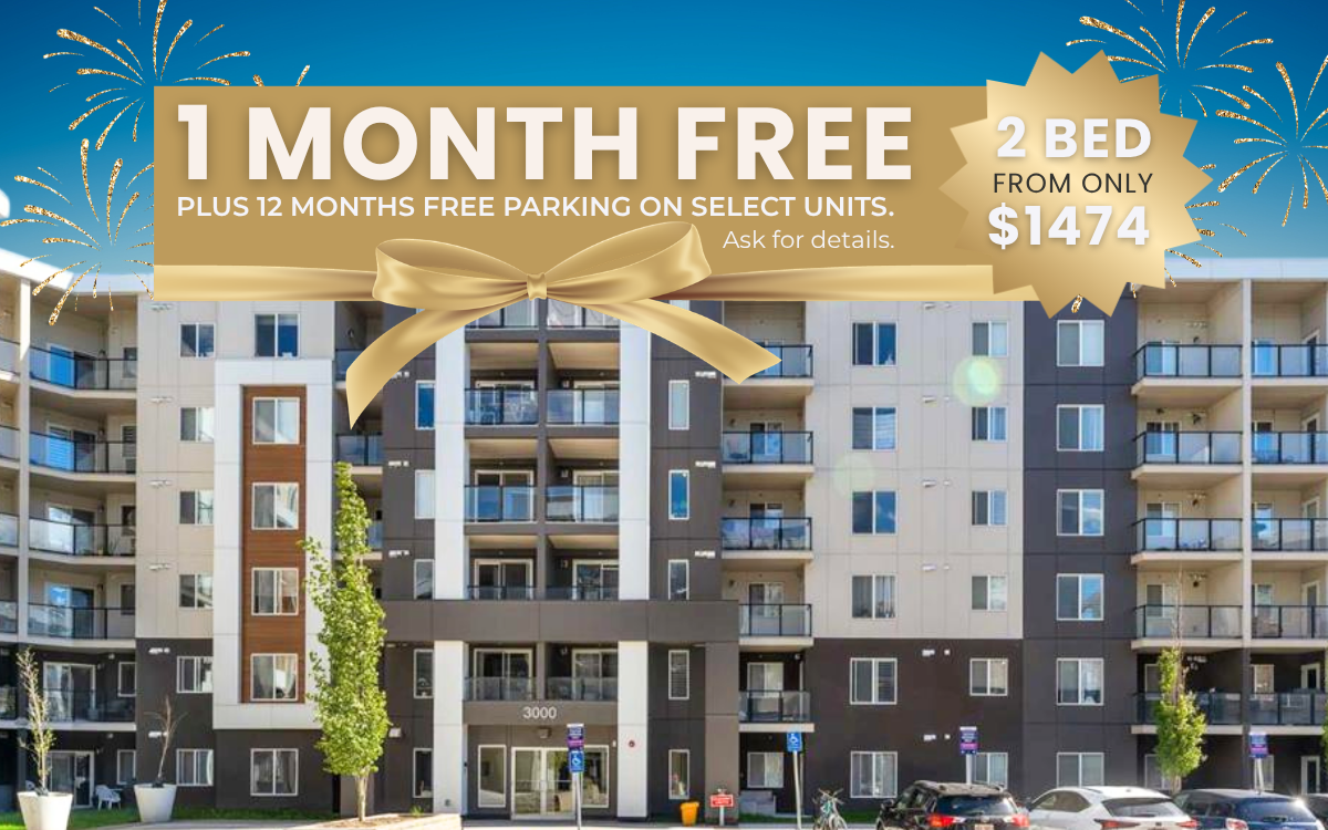 Skyview Place - Photo 233