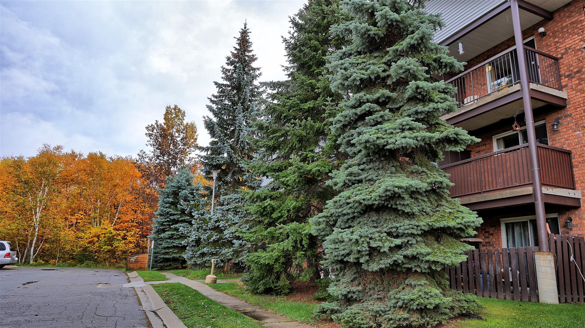 870 Beverly Drive, Sudbury, ON P3E 4B5 — photo 3