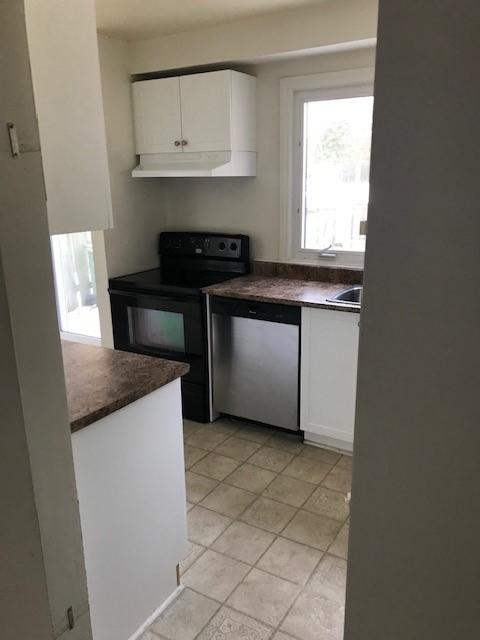 71 Baneberry - Photo 3