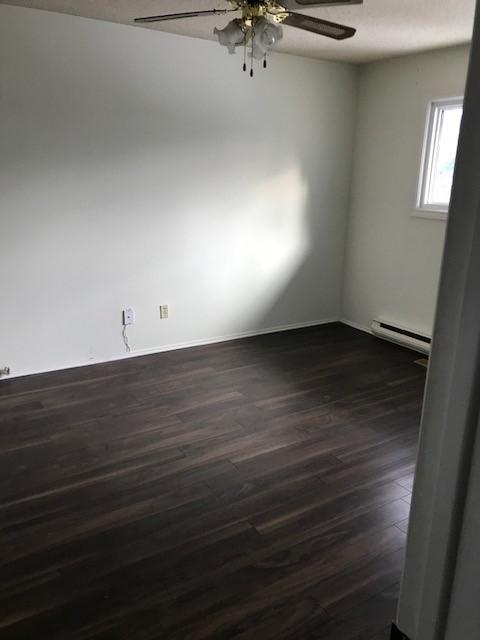 71 Baneberry - Photo 7