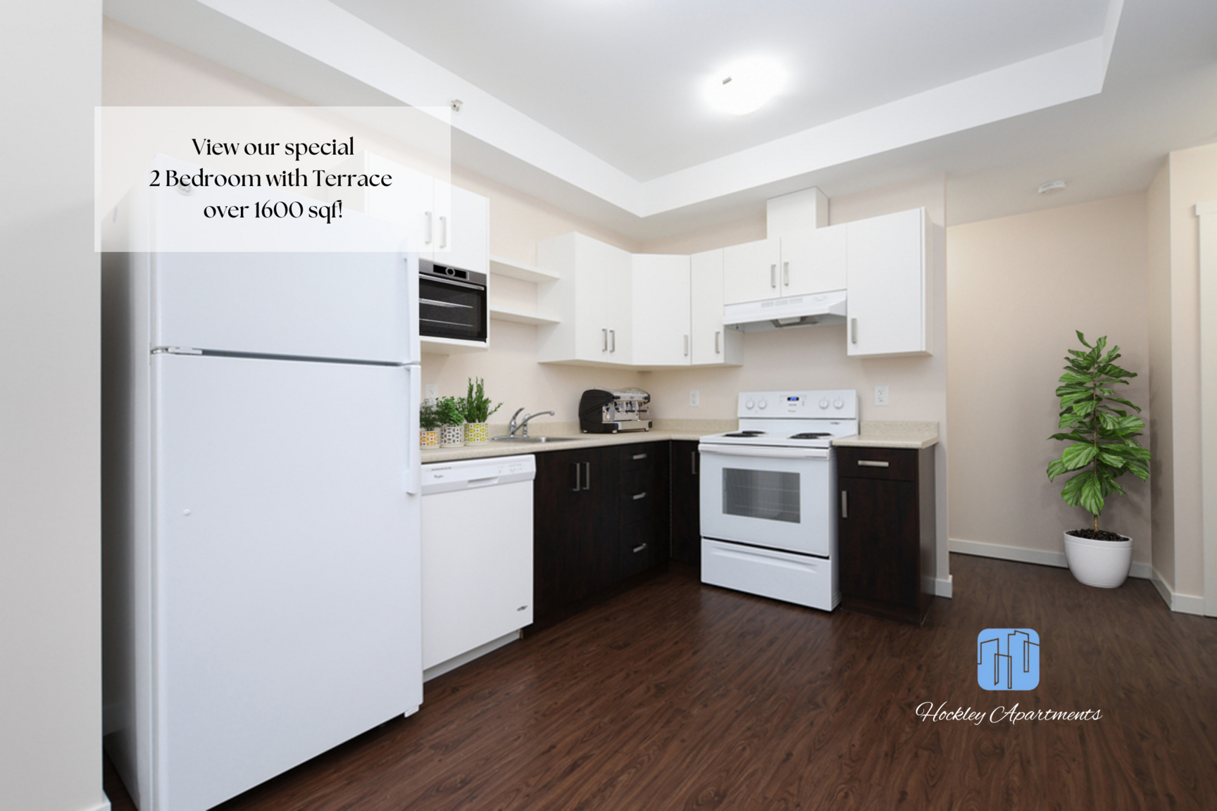 Hockley Apartments - Photo 5