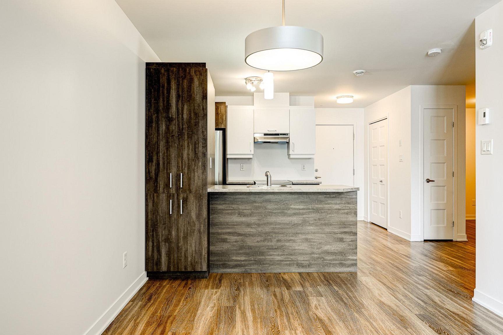 173 Boulevard Armand-Frappier - Photo 6