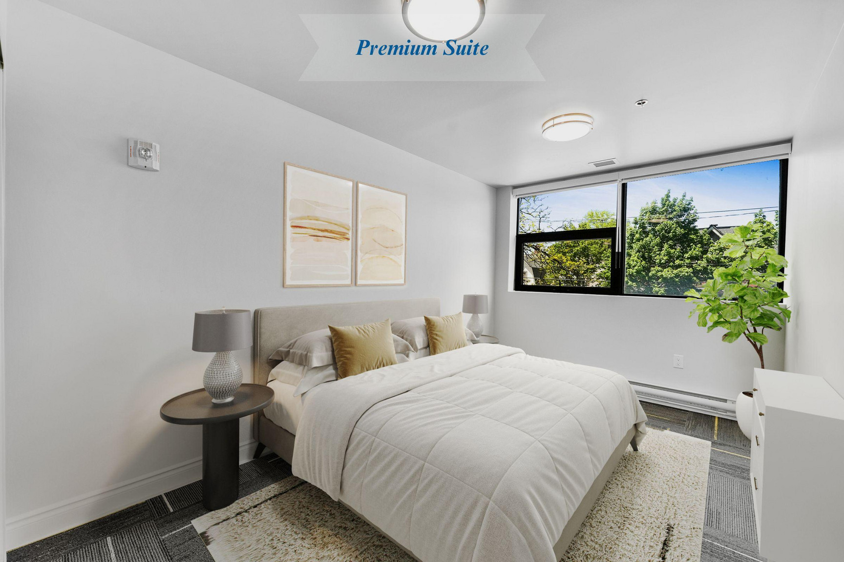 205 Oxford Apartments - Photo 16