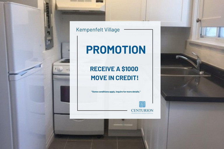 Kempenfelt Village