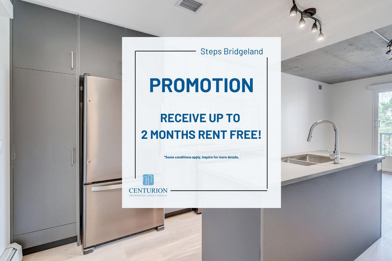 Steps Bridgeland