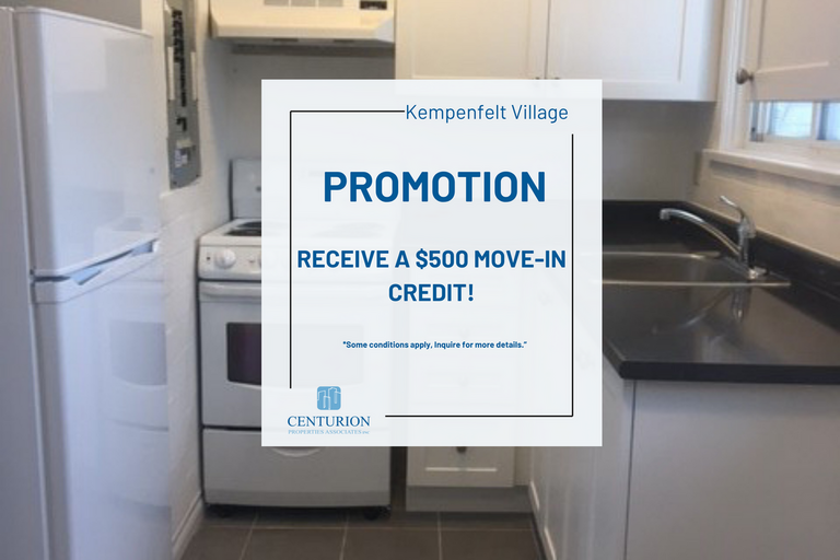Kempenfelt Village