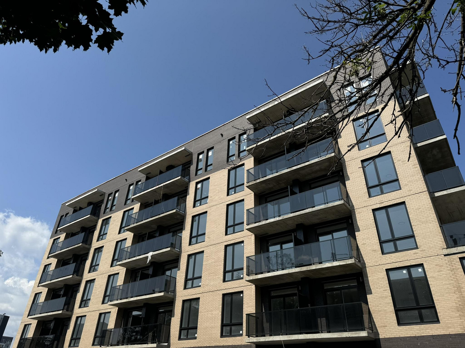 2660 Jarry - Photo 8