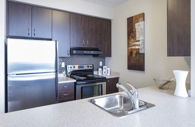 Palomar at Village Gate West - Photo 4