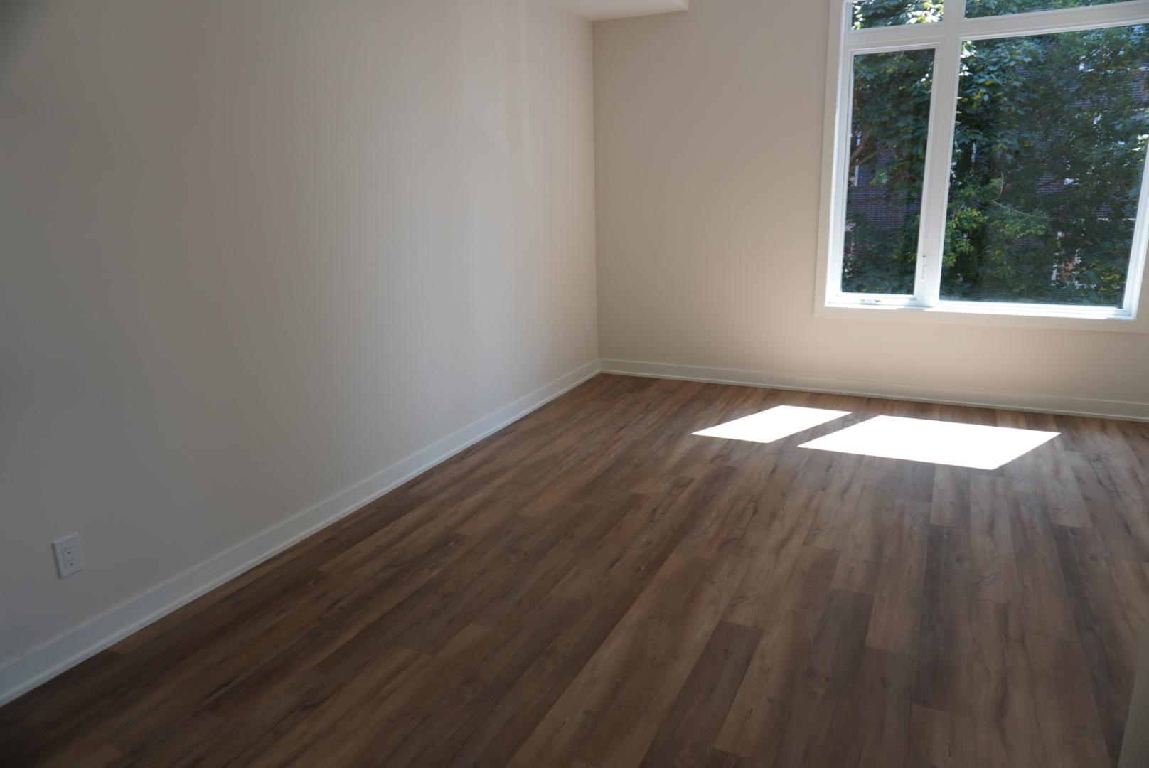 300 Wilbrod Street - Photo 5
