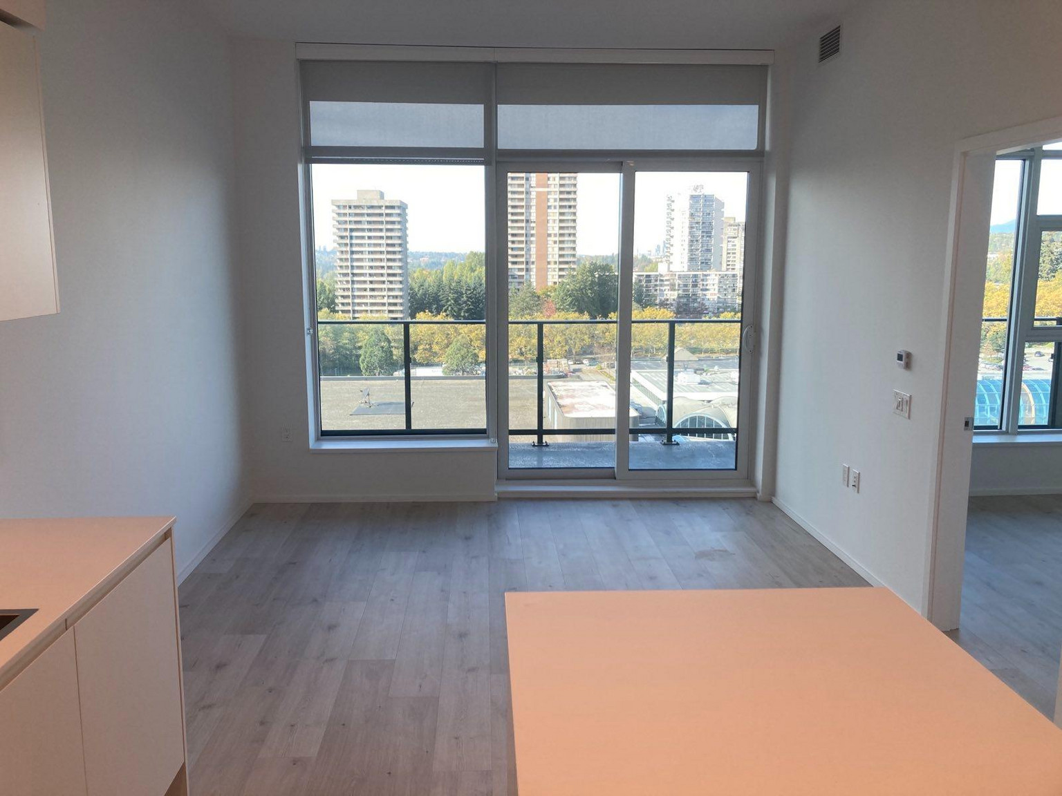 (ID#182) LOUGHEED 1BR CONDO - Photo 14