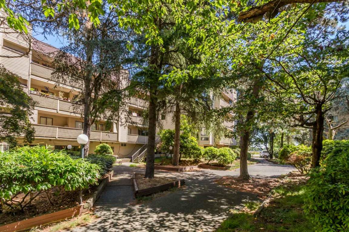 Arcadia Apartments