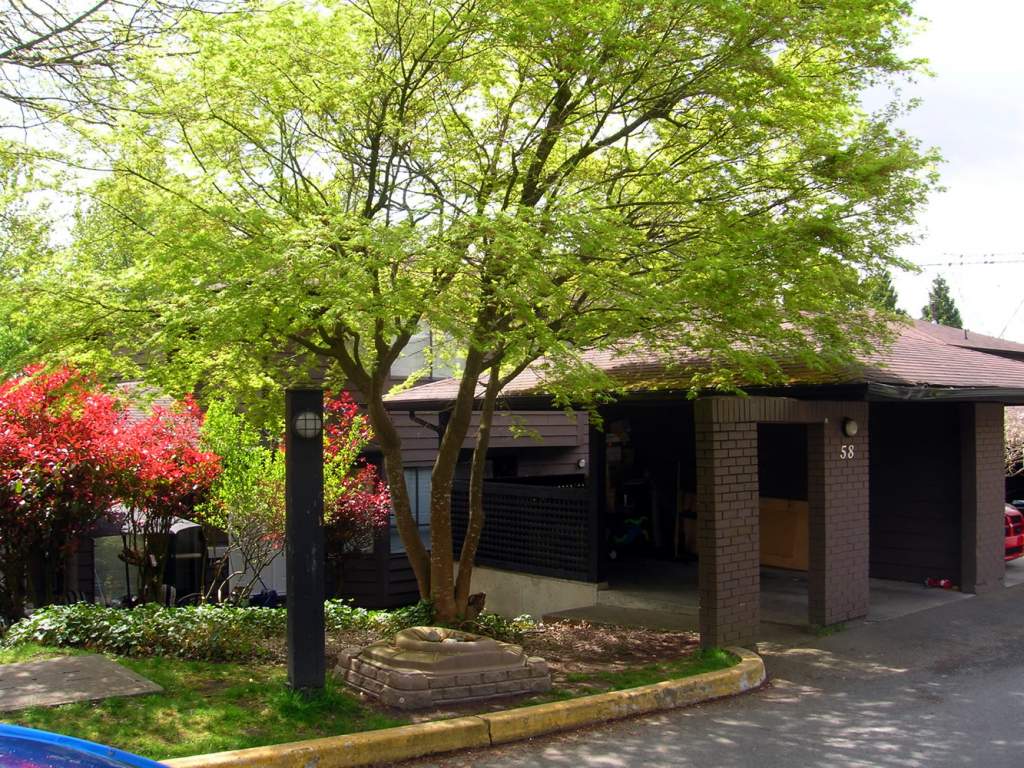 Crescentview Townhomes