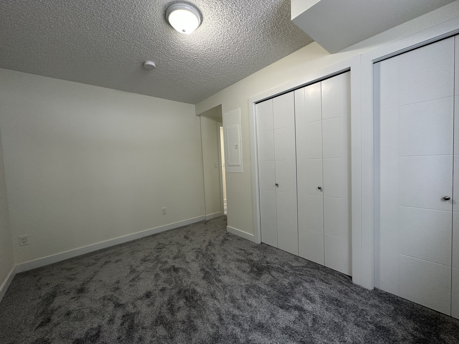 11903 93 Street NW - BSMT - Photo 13
