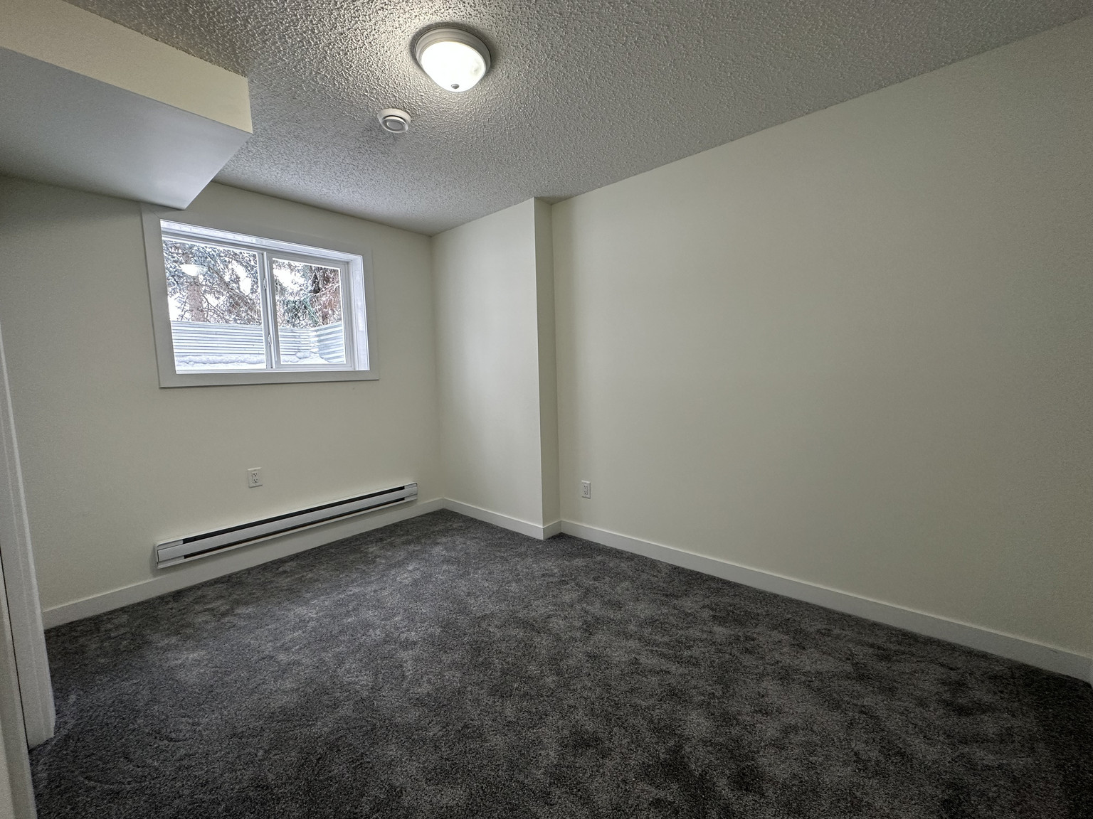 11903 93 Street NW - BSMT - Photo 15