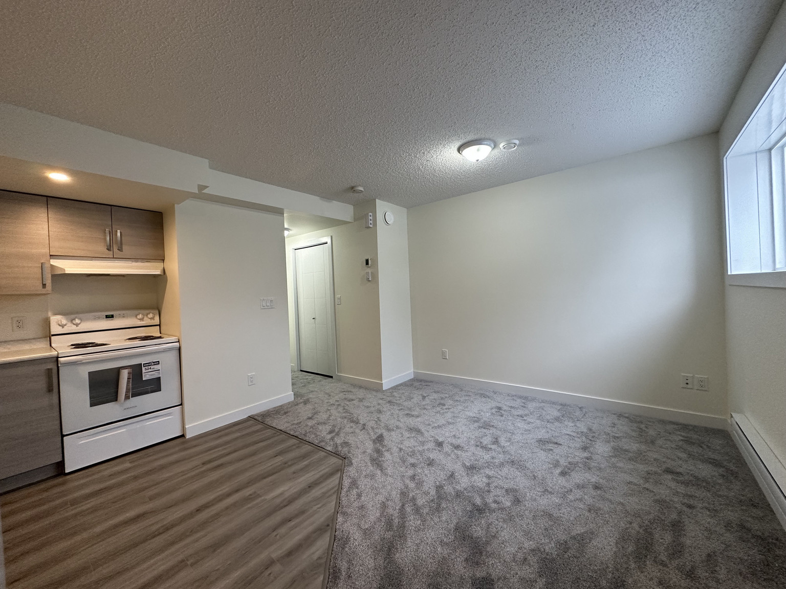 11903 93 Street NW - BSMT - Photo 7