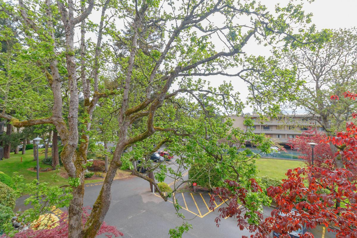 984 McKenzie Apartments - Photo 8