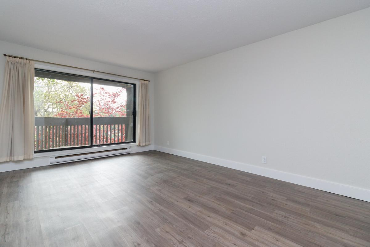 984 McKenzie Apartments - Photo 18