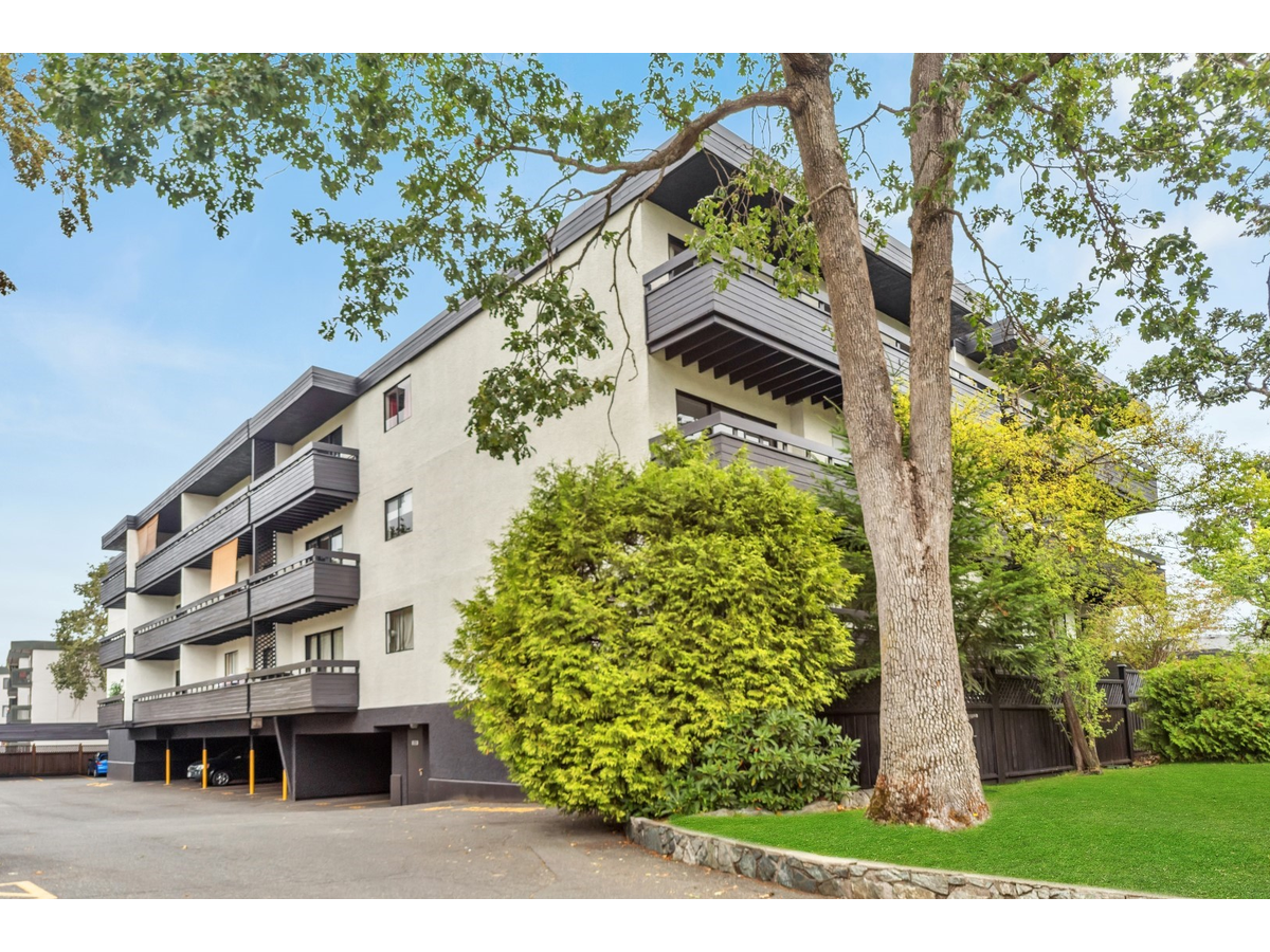 McKenzie Woods Apartments - Photo 6