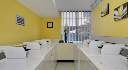 Crystal Court Apartments - Photo 17