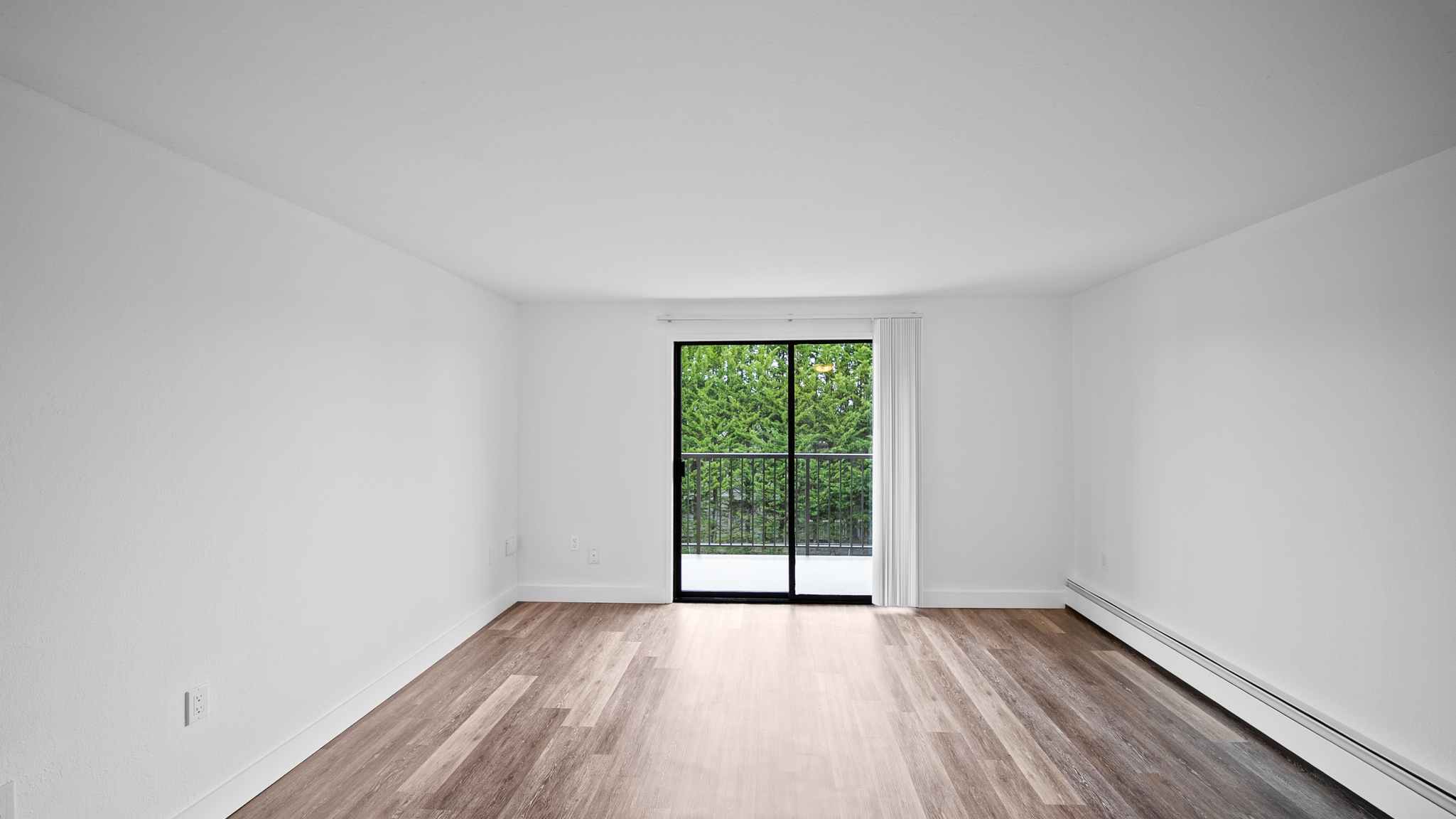 Ellery Street Apartments - Photo 4