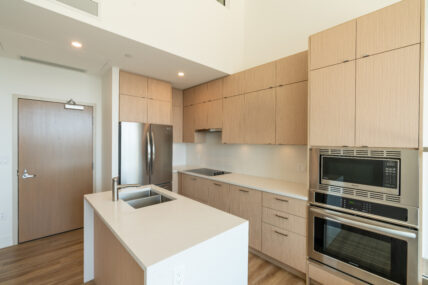 The Penthouses at Shoreline West End - Photo 10