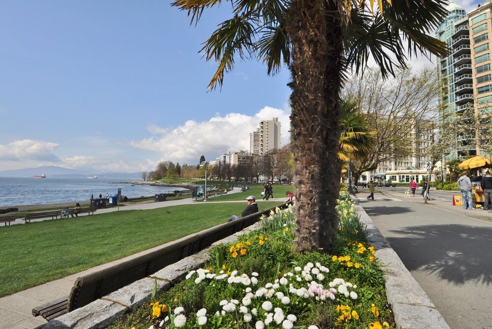 Beach Towers - Photo 7