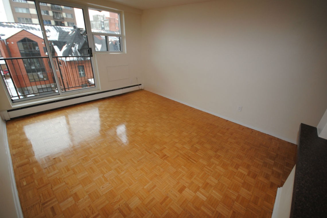 335 MacLaren St. - Photo 9