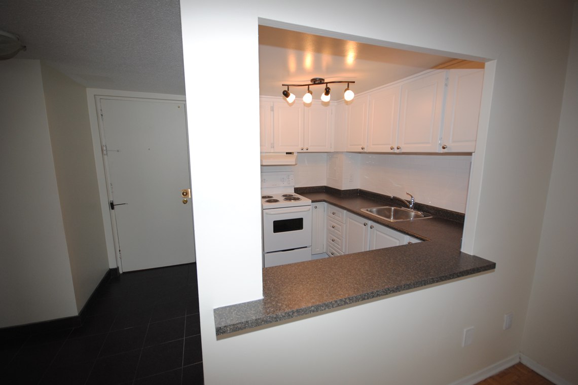 335 MacLaren St. - Photo 8