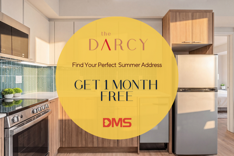 The Darcy