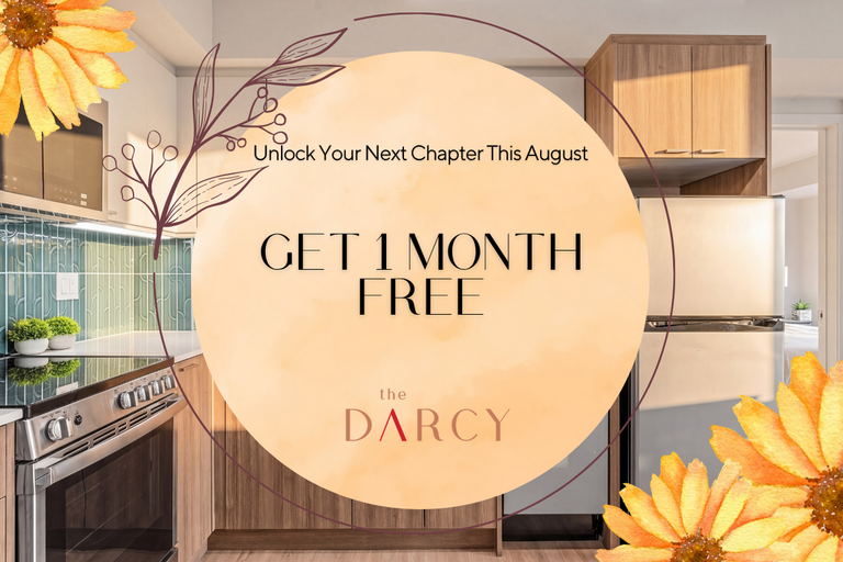 The Darcy