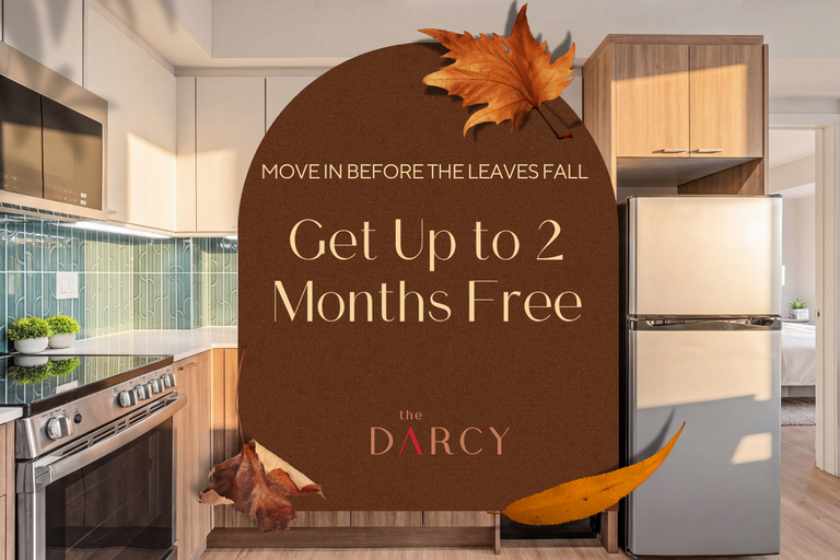 The Darcy