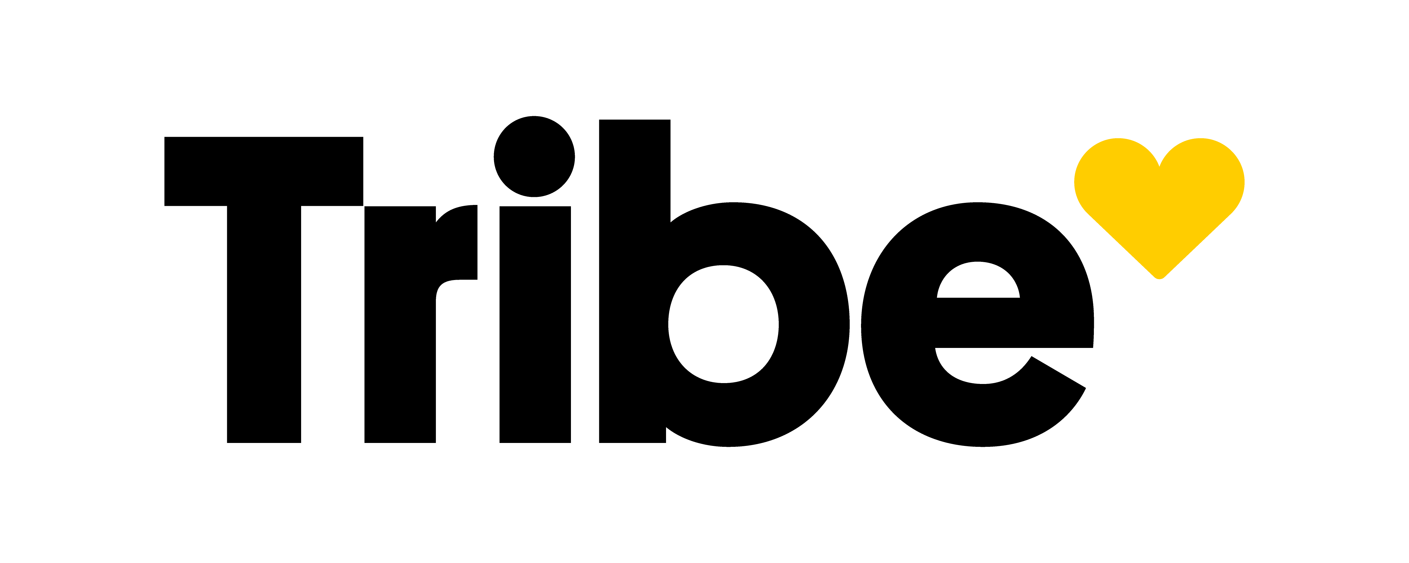 Tribe Management Formerly DMS Property Management Logo