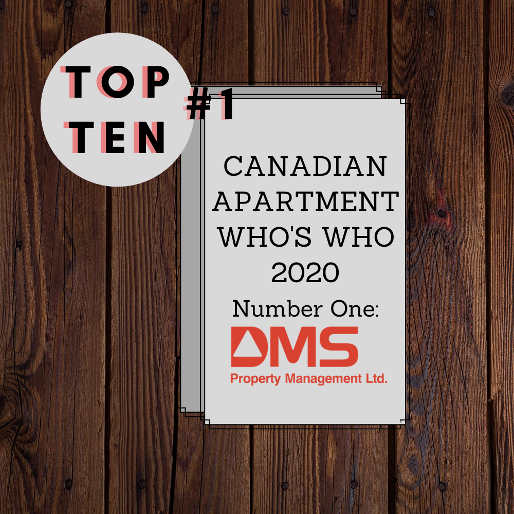 News DMS Property Management