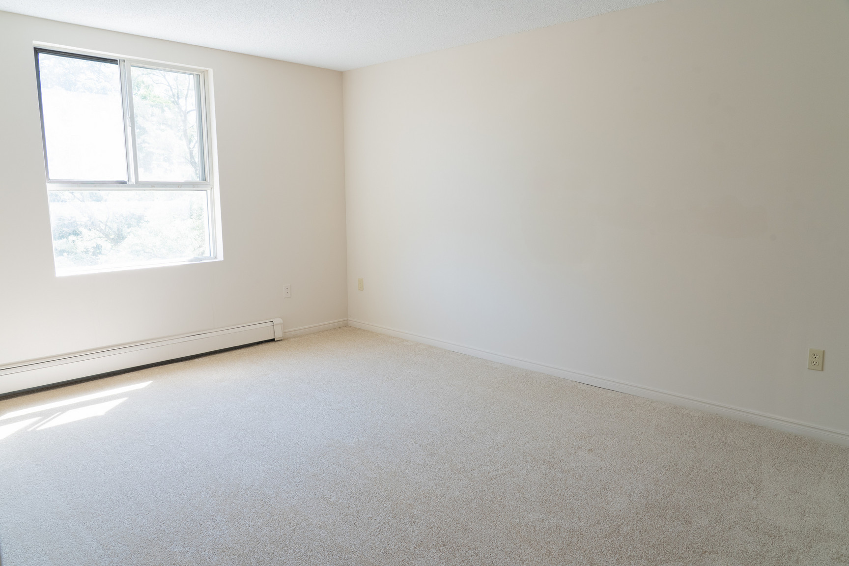 Windermere Place - Photo 19