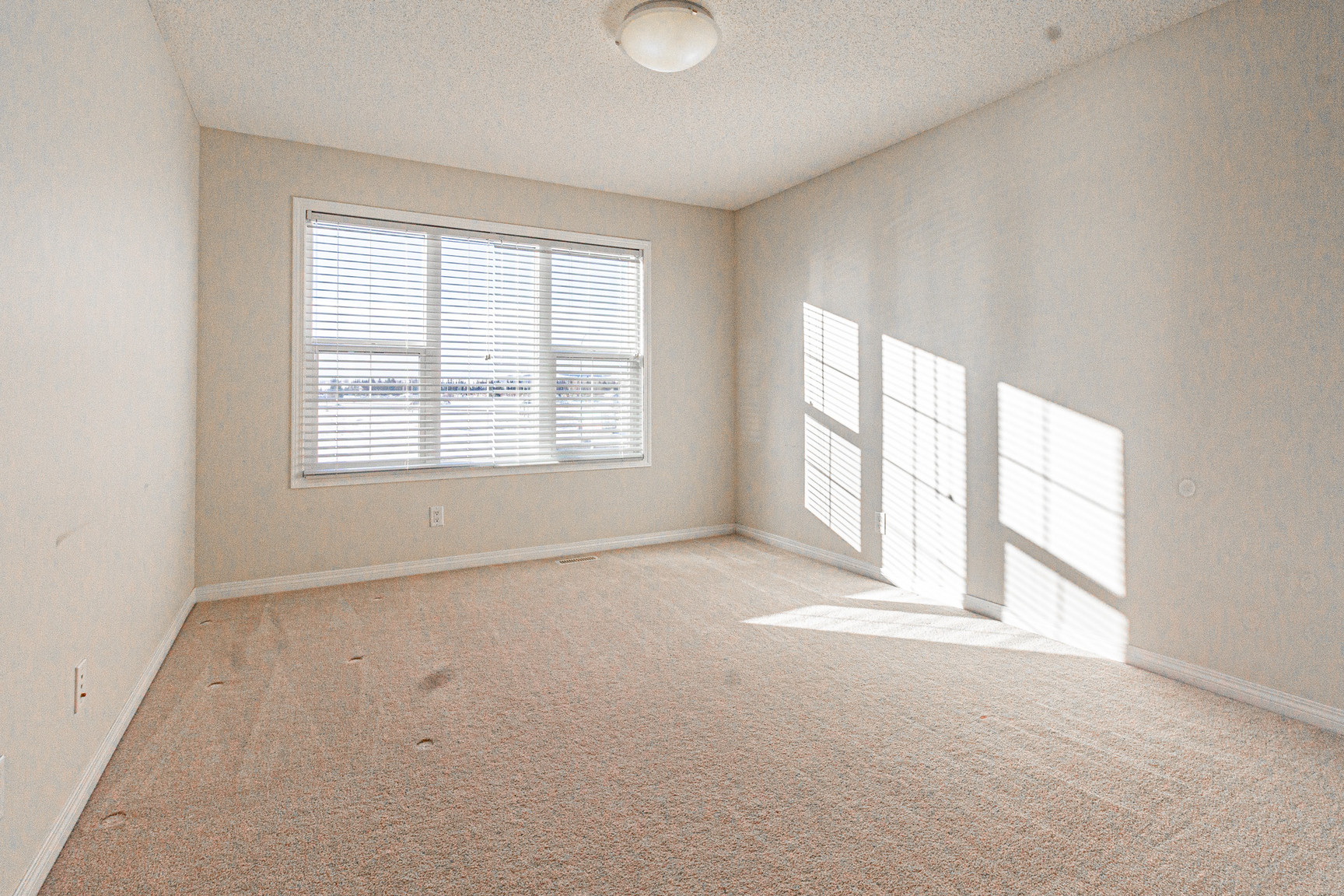 Beautiful Modern 3 Bed + 2.5 Bath Home in the Heart of Walden SE - Photo 11