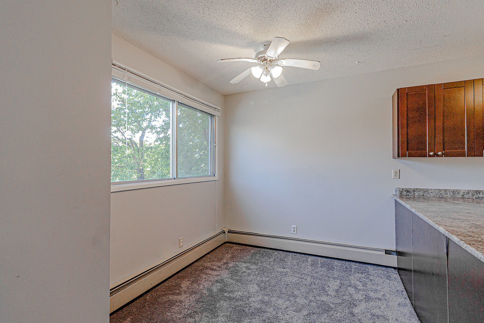 NEW LUXURY FLOORING! Sunnyside 3 Bedroom/1 Bathroom Walking Distance to Memorial! - Photo 5