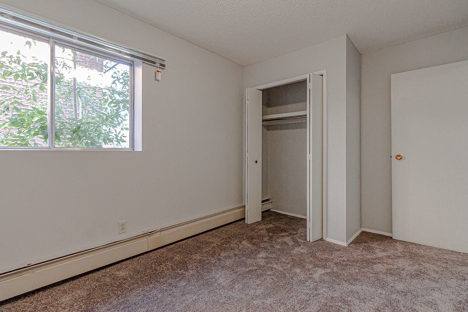 NEW LUXURY FLOORING! Sunnyside 3 Bedroom/1 Bathroom Walking Distance to Memorial! - Photo 12