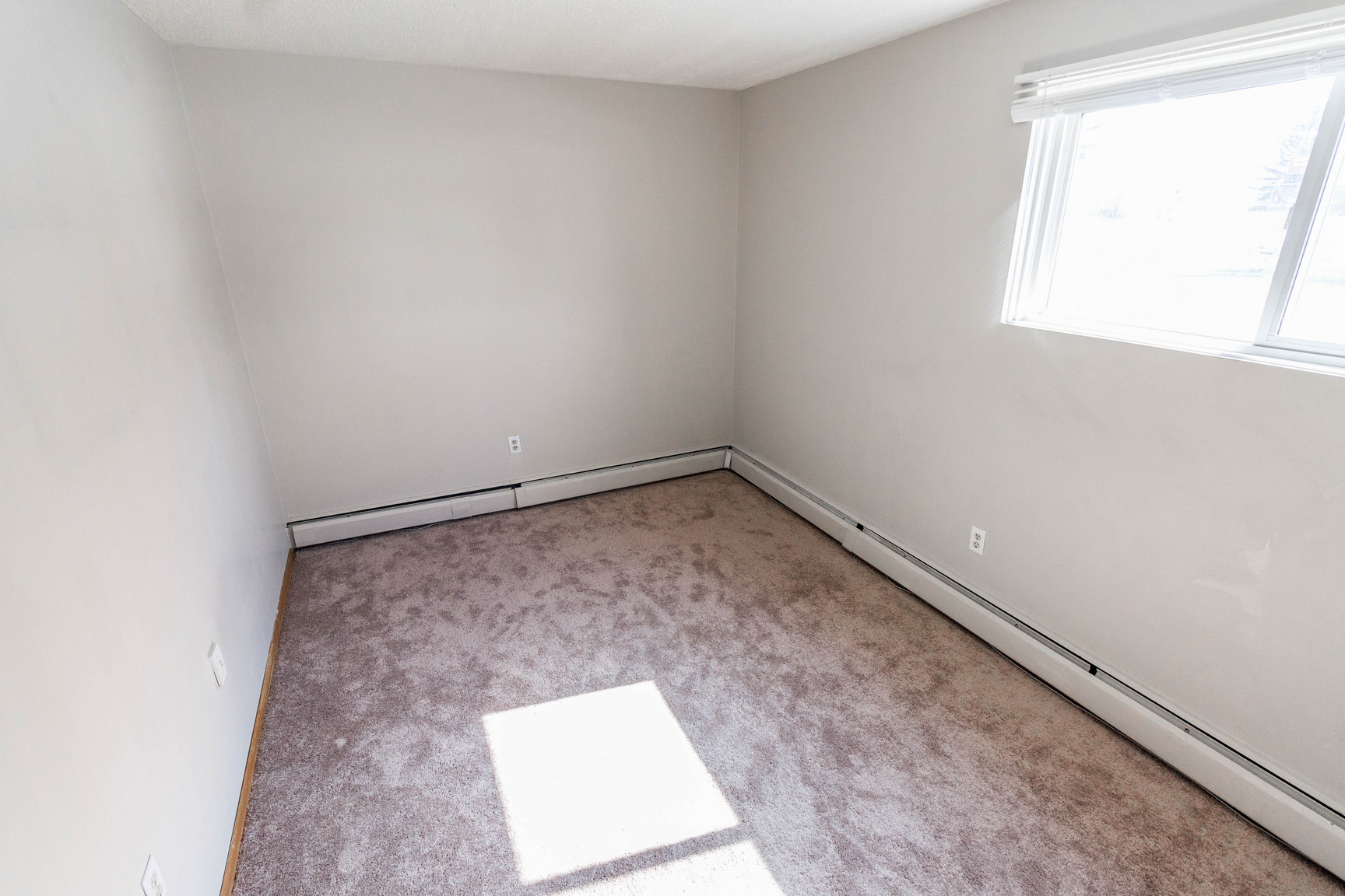 COZY 2 BED/1 BATH LOWER UNIT ACROSS FROM GOLF COURSE IN A QUIET BUILDING! - Photo 26