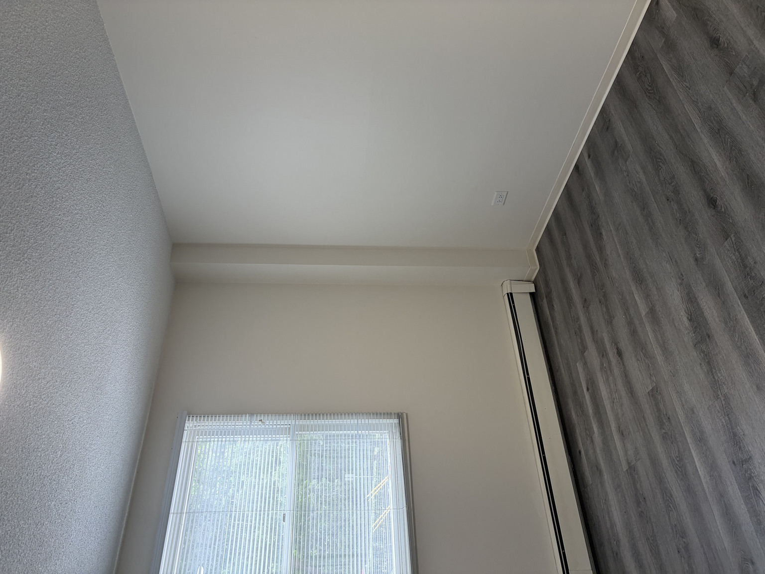 Charming Mission Condo | Bright 1 Bed + 1 Bath in Prime Inner-City Location! - Photo 12