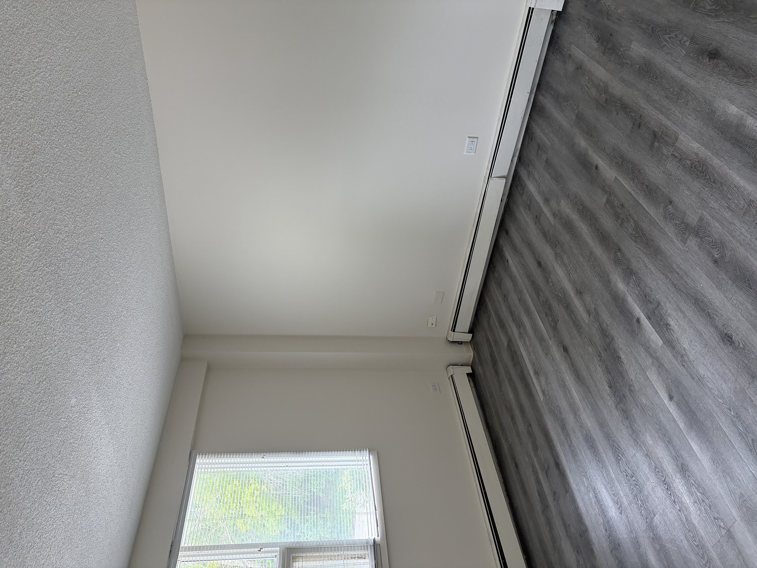 Charming Mission Condo | Bright 1 Bed + 1 Bath in Prime Inner-City Location! - Photo 9