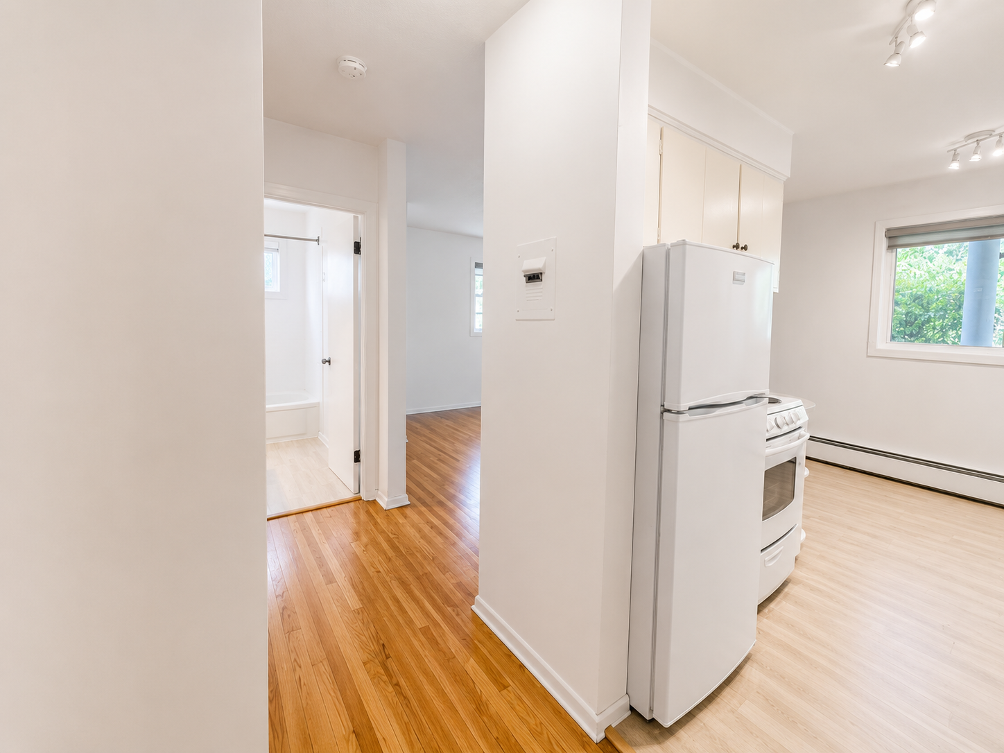 BRIGHT Updated Studio Apartment in Beautiful Mission Area!  - Photo 3