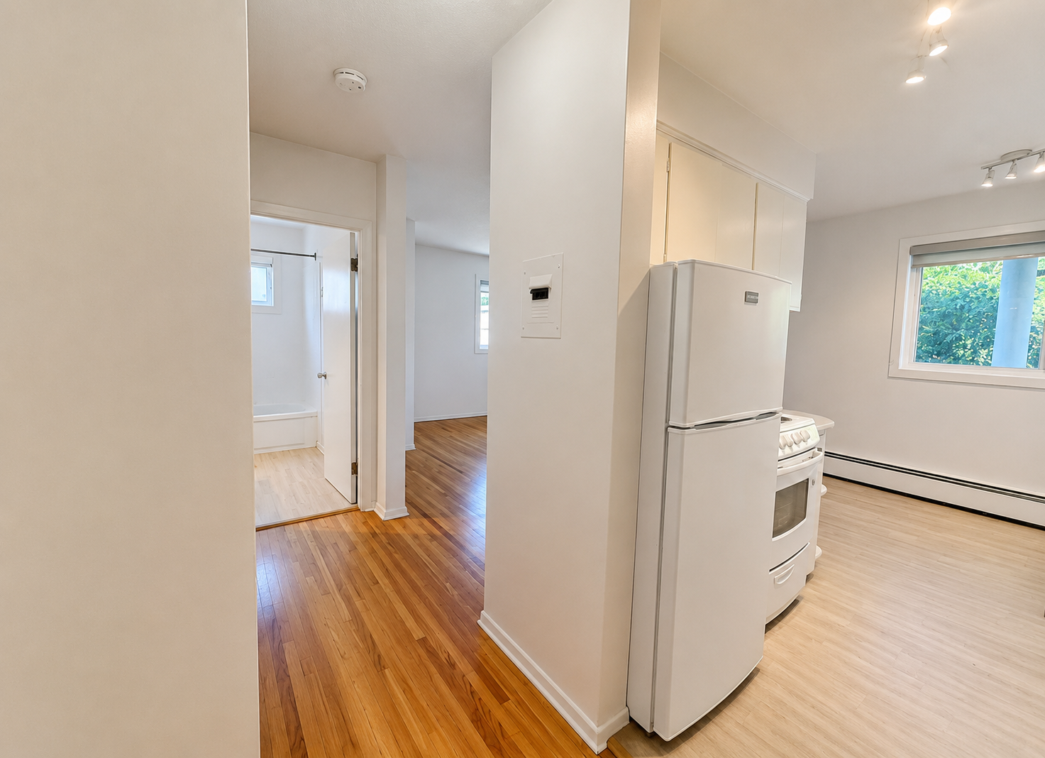 BRIGHT Updated Studio Apartment in Beautiful Mission Area!  - Photo 5