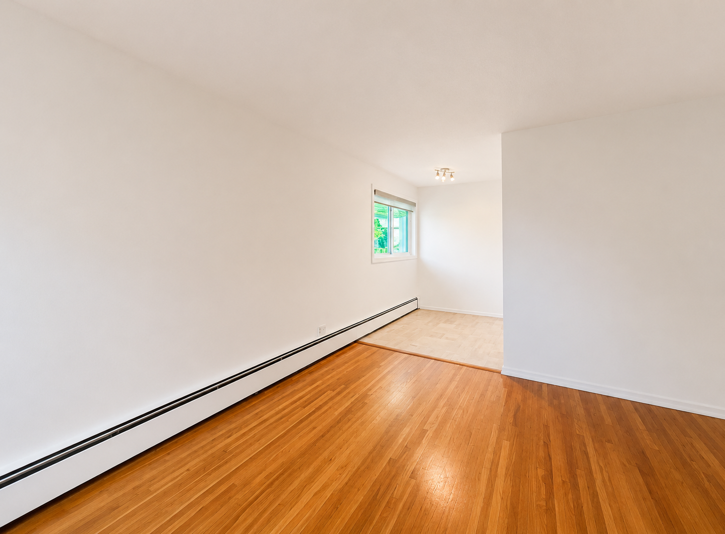 BRIGHT Updated Studio Apartment in Beautiful Mission Area!  - Photo 7